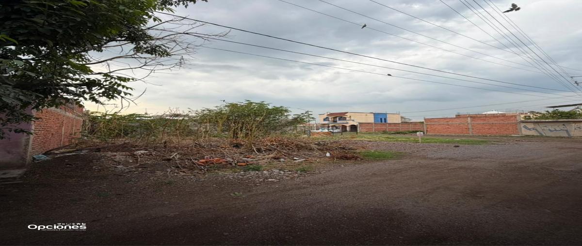 Foto de terreno habitacional en venta en  , zacamixtle, salamanca, guanajuato, 0 No. 03