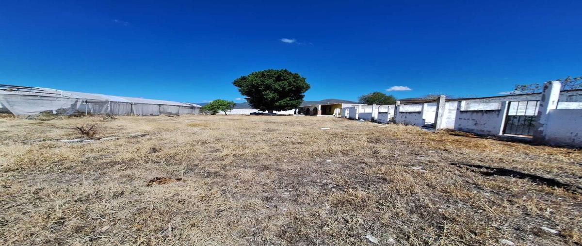 Foto de rancho en venta en zacapala 101, zacapala, zacapala, puebla, 0 No. 03