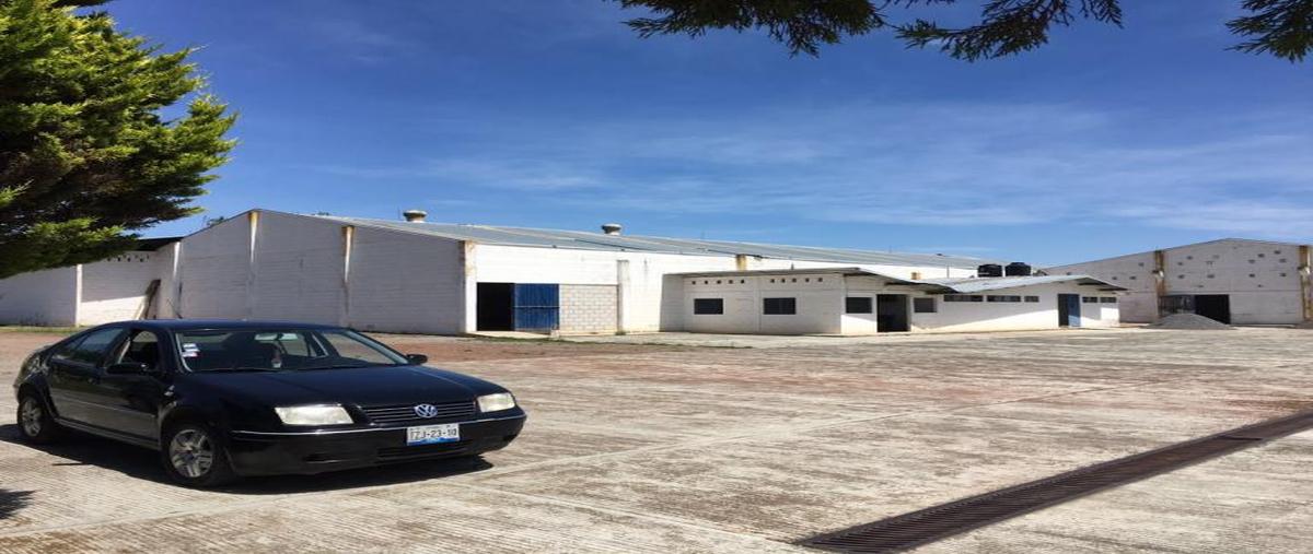 Foto de bodega en renta en zacapoaxtla- audi-puebla 0, santa cruz xaltetela, zacapoaxtla, puebla, 8922037 No. 05