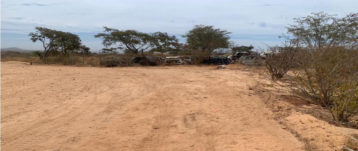Foto de terreno habitacional en venta en  , zacatal zona norte, los cabos, baja california sur, 0 No. 04
