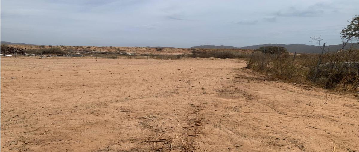Foto de terreno habitacional en venta en  , zacatal zona norte, los cabos, baja california sur, 0 No. 05