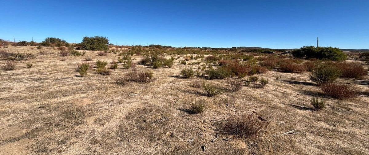 Foto de terreno habitacional en zacatecas , luis echeverría álvarez (el hongo), tecate, baja california, 0 foto 01 Foto de terreno habitacional en venta en zacatecas , luis echeverría álvarez (el hongo), tecate, baja california, 0 No. 01