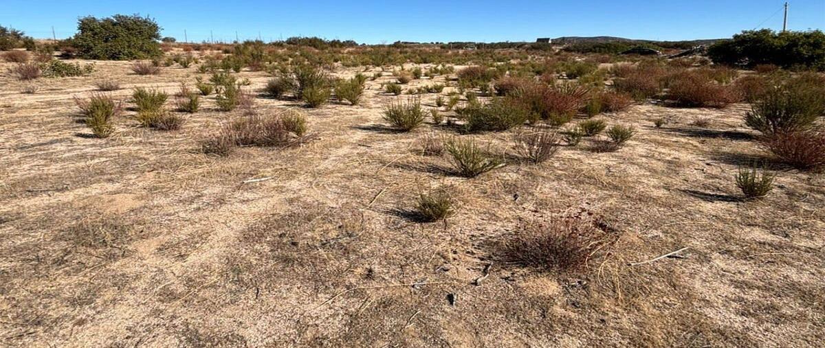 Foto de terreno habitacional en zacatecas , luis echeverría álvarez (el hongo), tecate, baja california, 0 foto 03 Foto de terreno habitacional en venta en zacatecas , luis echeverría álvarez (el hongo), tecate, baja california, 0 No. 03