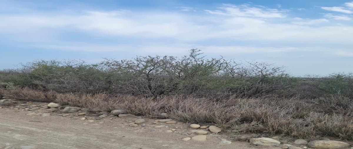Foto de terreno habitacional en venta en  , zacatecas, pesquería, nuevo león, 28110748 No. 03
