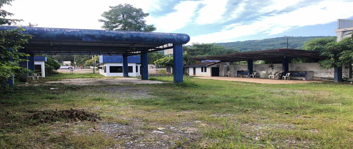 Foto de terreno habitacional en renta en  , zacatipan, tamazunchale, san luis potosí, 0 No. 04