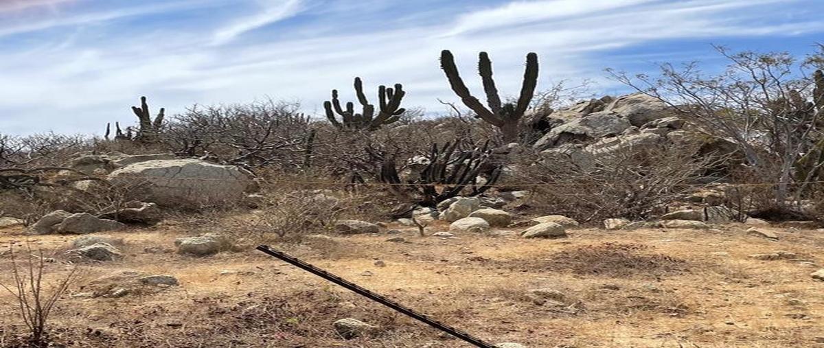 Foto de terreno habitacional en venta en zacatitos manz xix , la playa, los cabos, baja california sur, 27856687 No. 03