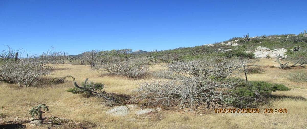 Foto de terreno habitacional en venta en zacatitos manz xix , la playa, los cabos, baja california sur, 27856687 No. 04