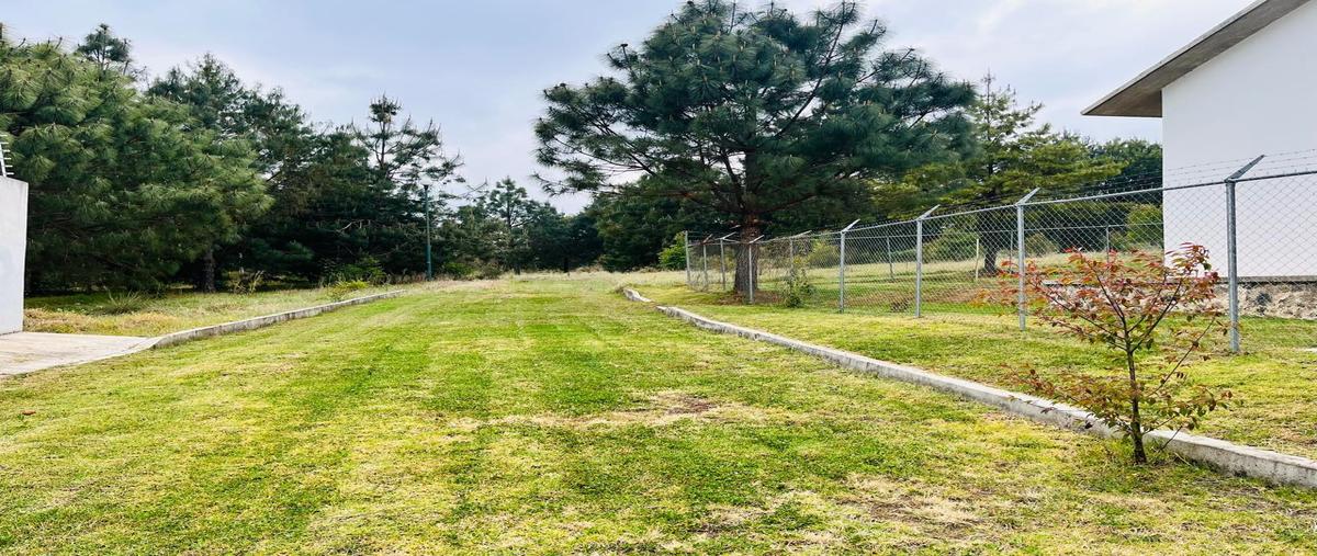 Foto de casa en venta en  , zacatlán centro, zacatlán, puebla, 31036931 No. 03