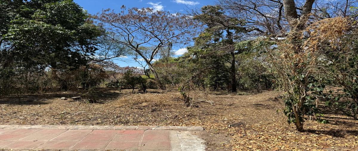 Foto de terreno habitacional en venta en  , zacualpan de amilpas, zacualpan de amilpas, morelos, 30143346 No. 04