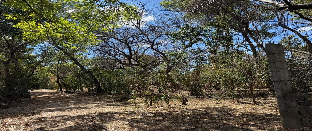 Foto de terreno habitacional en venta en  , zacualpan de amilpas, zacualpan de amilpas, morelos, 30143346 No. 05