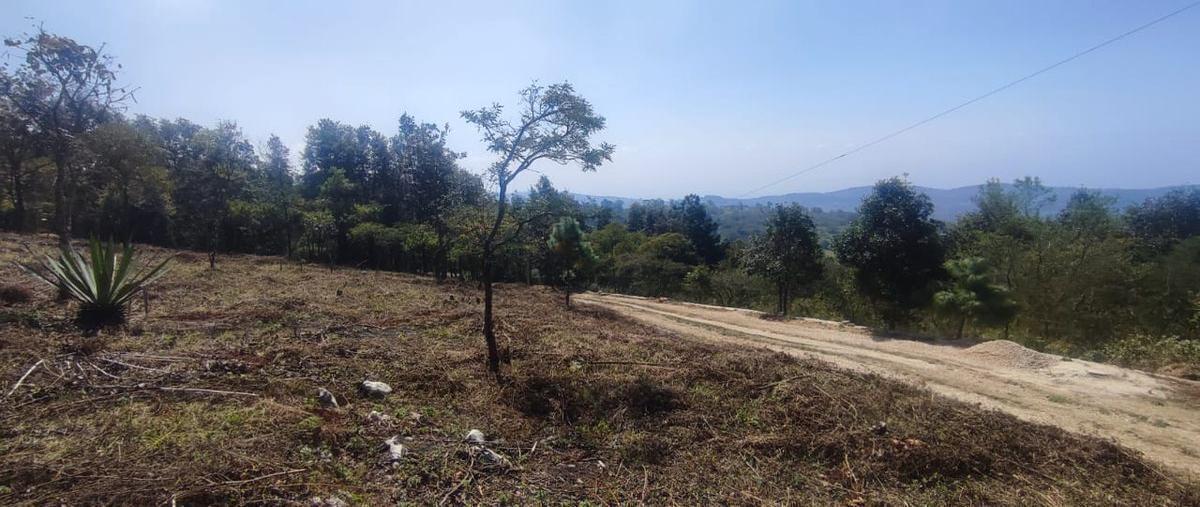 Foto de terreno habitacional en venta en  , zacualpan de ecatepec, san cristóbal de las casas, chiapas, 27855656 No. 04