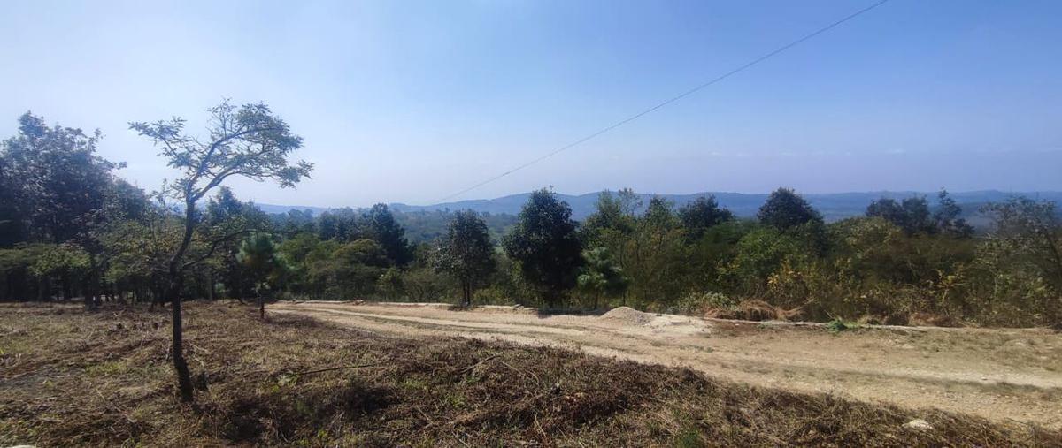 Foto de terreno habitacional en venta en  , zacualpan de ecatepec, san cristóbal de las casas, chiapas, 27855656 No. 05