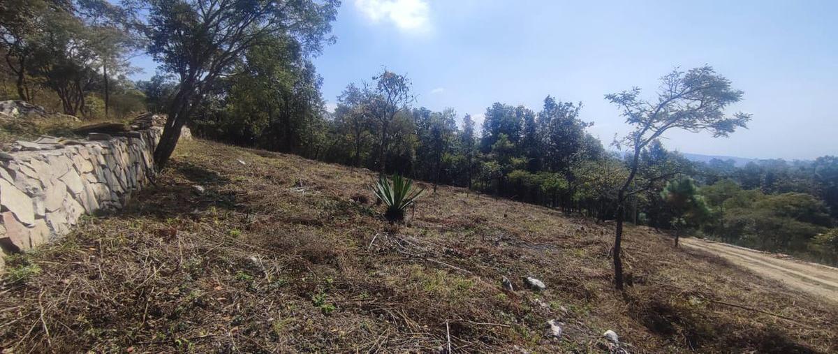 Foto de terreno habitacional en , zacualpan de ecatepec, san cristóbal de las casas, chiapas, 27855664 foto 05 Foto de terreno habitacional en venta en , zacualpan de ecatepec, san cristóbal de las casas, chiapas, 27855664 No. 05