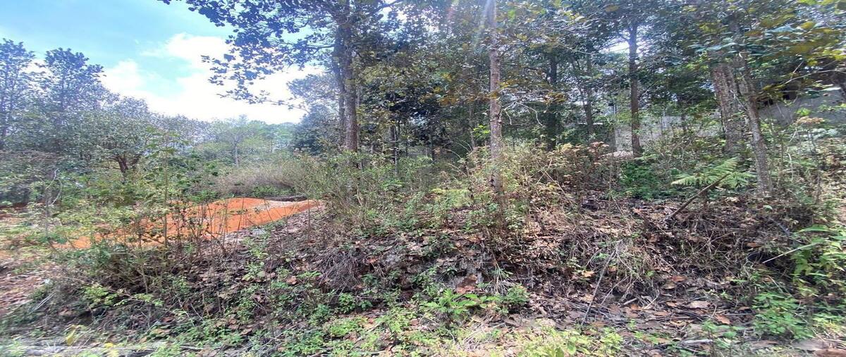 Foto de terreno habitacional en venta en  , zacualpan de ecatepec, san cristóbal de las casas, chiapas, 28234537 No. 03