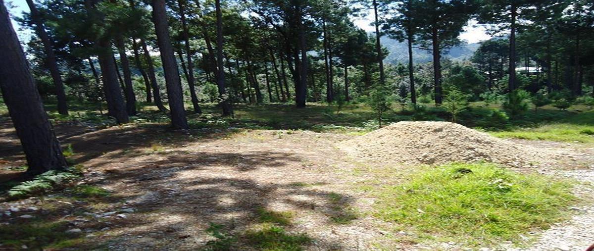 Foto de terreno habitacional en venta en  , zacualpan de ecatepec, san cristóbal de las casas, chiapas, 0 No. 04