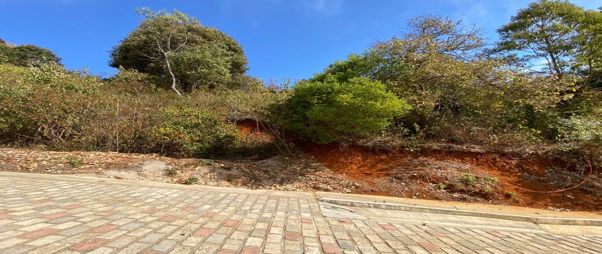 Foto de terreno habitacional en venta en  , zacualpan de ecatepec, san cristóbal de las casas, chiapas, 0 No. 04