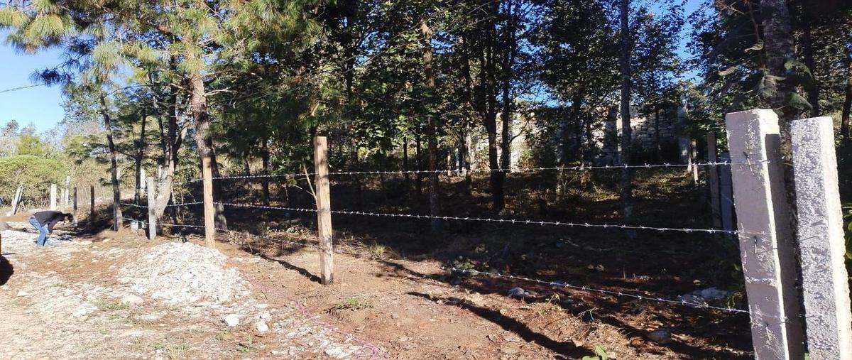 Foto de terreno habitacional en venta en  , zacualpan de ecatepec, san cristóbal de las casas, chiapas, 0 No. 03