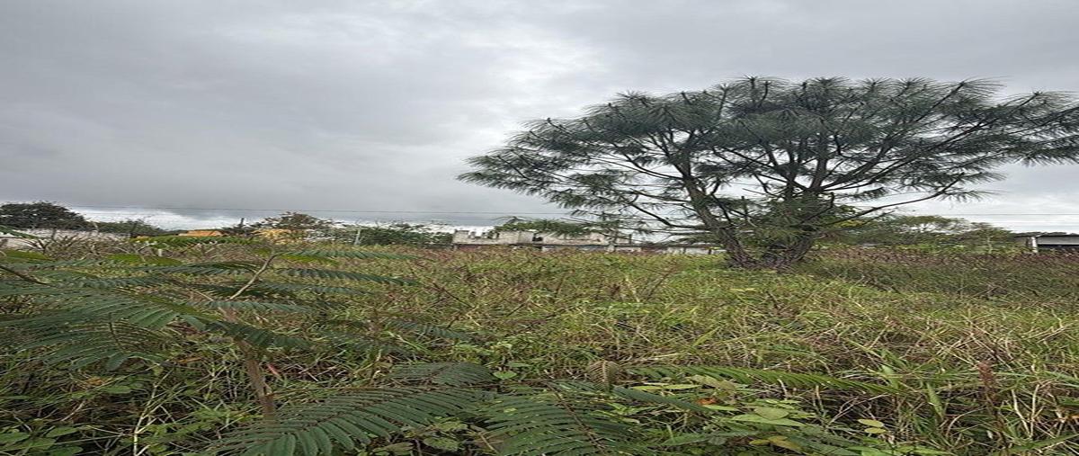 Foto de terreno habitacional en zafiro , la chivería, xicotepec, puebla, 0 foto 01 Foto de terreno habitacional en venta en zafiro , la chivería, xicotepec, puebla, 0 No. 01