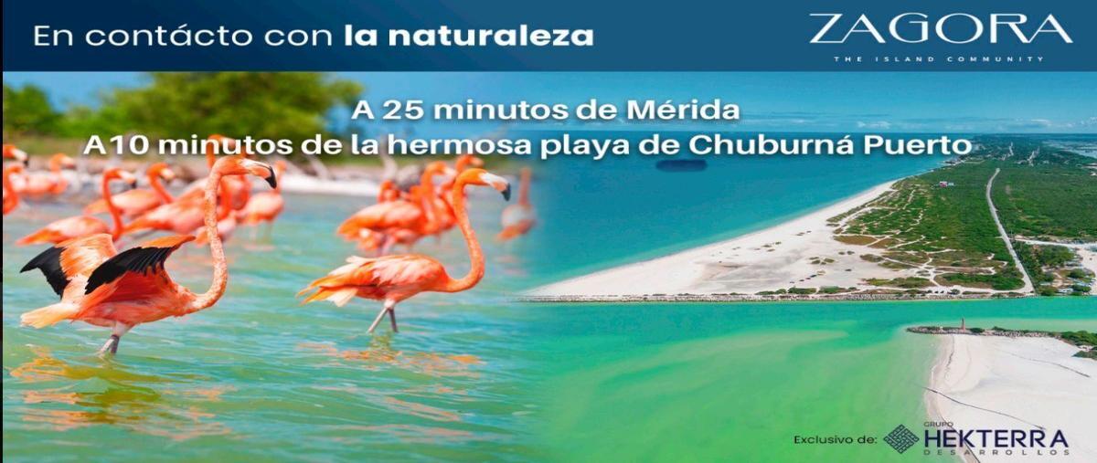 Foto de terreno habitacional en zagora 97356 hunucmayucatan centro hunucmáhunucmá yucatán 97350 , punta paz, hunucmá, yucatán, 27291891 foto 02 Foto de terreno habitacional en venta en zagora 97356 hunucmayucatan centro hunucmáhunucmá yucatán 97350 , punta paz, hunucmá, yucatán, 27291891 No. 02