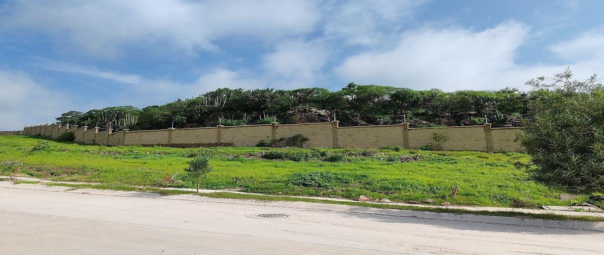Foto de terreno habitacional en venta en  , zakia, el marqués, querétaro, 0 No. 06