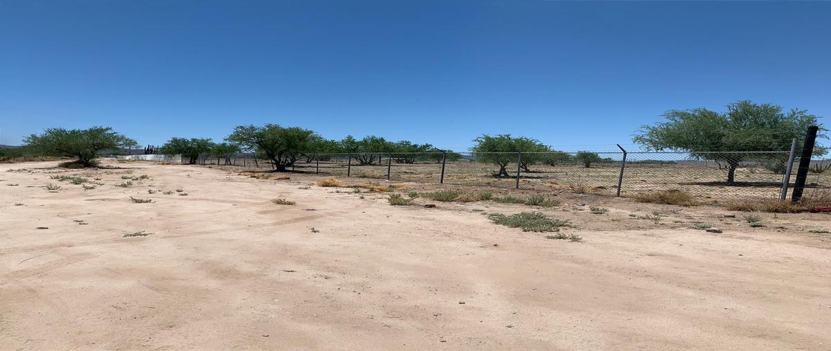 Foto de terreno comercial en zamora 0, zamora, hermosillo, sonora, 17128591 foto 05 Foto de terreno comercial en renta en zamora 0, zamora, hermosillo, sonora, 17128591 No. 05