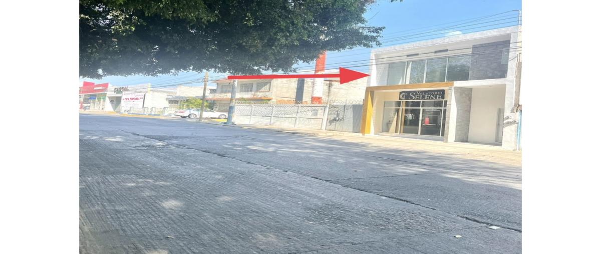 Foto de local en renta en  , zamora de hidalgo centro, zamora, michoacán de ocampo, 24523609 No. 03