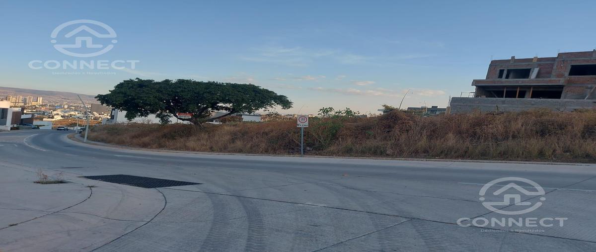 Foto de terreno habitacional en venta en  , zanda, león, guanajuato, 28882924 No. 04