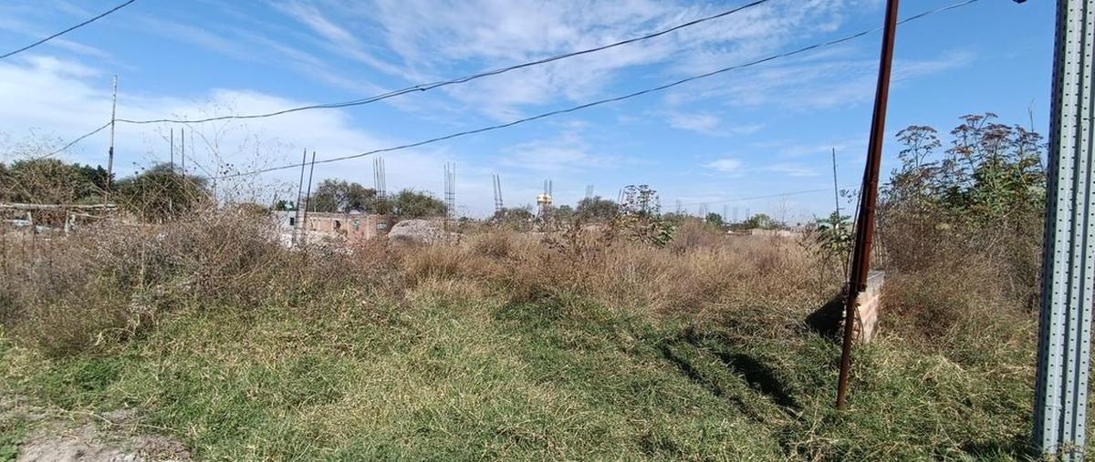 Foto de terreno habitacional en venta en zapote del valle , el zapote del valle, tlajomulco de zúñiga, jalisco, 0 No. 01