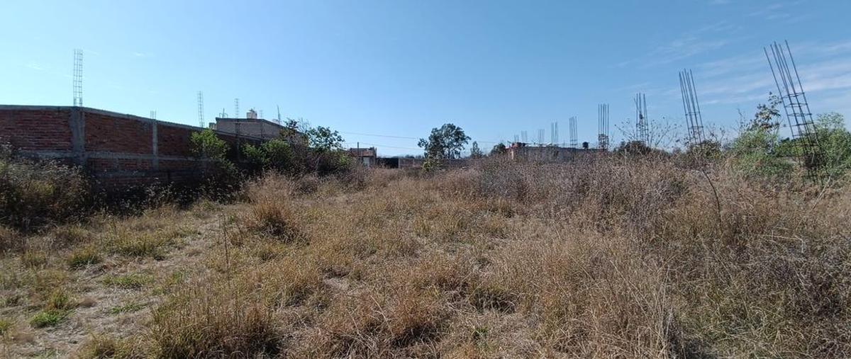 Foto de terreno habitacional en venta en zapote del valle , el zapote del valle, tlajomulco de zúñiga, jalisco, 0 No. 02