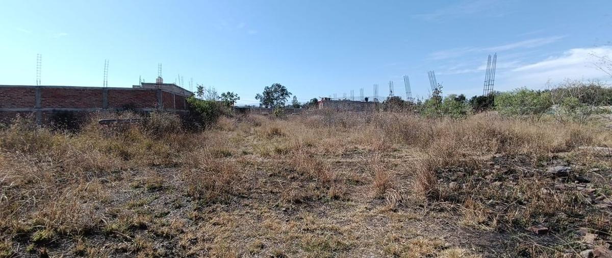Foto de terreno habitacional en venta en zapote del valle , el zapote del valle, tlajomulco de zúñiga, jalisco, 0 No. 03