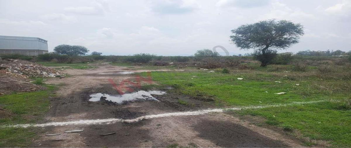Foto de terreno comercial en venta en zapote , el zapote del valle, tlajomulco de zúñiga, jalisco, 23289480 No. 05