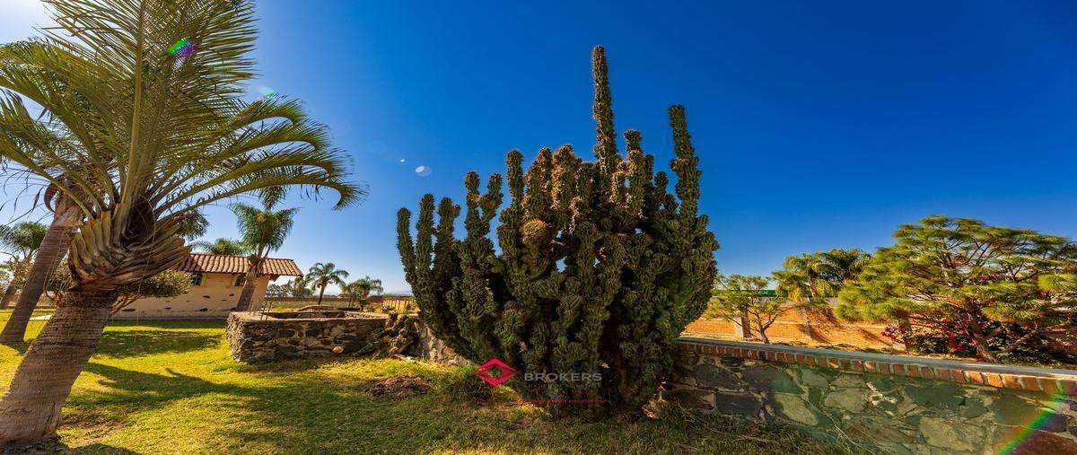 Foto de terreno comercial en venta en  , zapotlan del rey, zapotlán del rey, jalisco, 25921291 No. 05