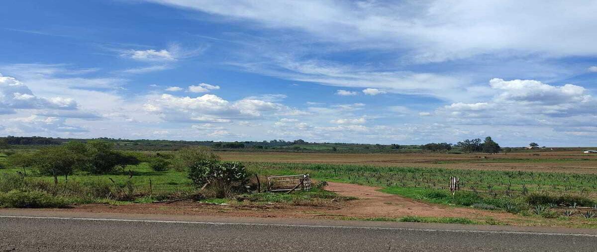 Foto de terreno habitacional en venta en  , zapotlanejo, zapotlanejo, jalisco, 0 No. 03