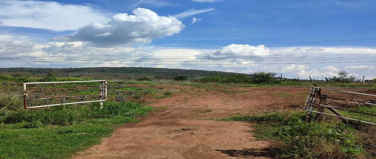 Foto de terreno habitacional en venta en  , zapotlanejo, zapotlanejo, jalisco, 0 No. 04