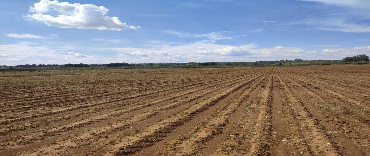 Foto de terreno habitacional en venta en  , zapotlanejo, zapotlanejo, jalisco, 0 No. 05