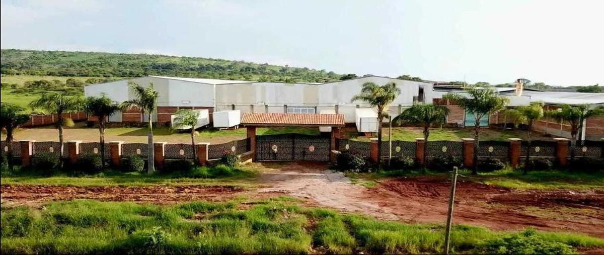 Foto de bodega en renta en  , zapotlanejo, zapotlanejo, jalisco, 28832801 No. 03