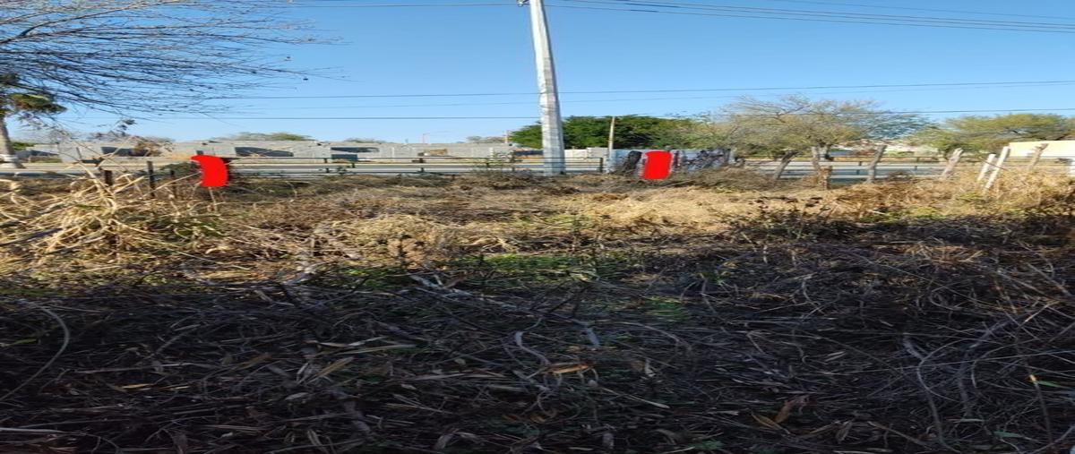 Foto de terreno habitacional en venta en zaragoza , alegres de terán, general terán, nuevo león, 27709932 No. 03