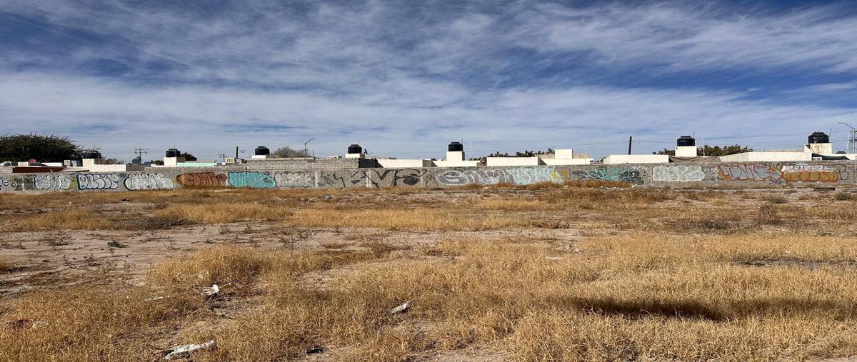Foto de terreno comercial en venta en zaragoza , campo nuevo de zaragoza, torreón, coahuila de zaragoza, 29317848 No. 03
