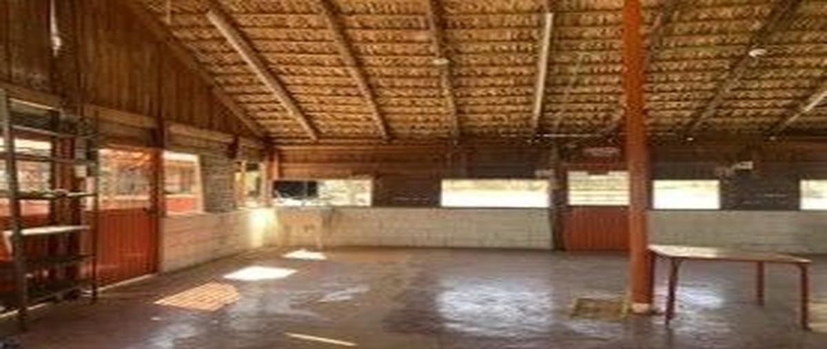 Foto de terreno habitacional en venta en  , zaragoza, montemorelos, nuevo león, 0 No. 05