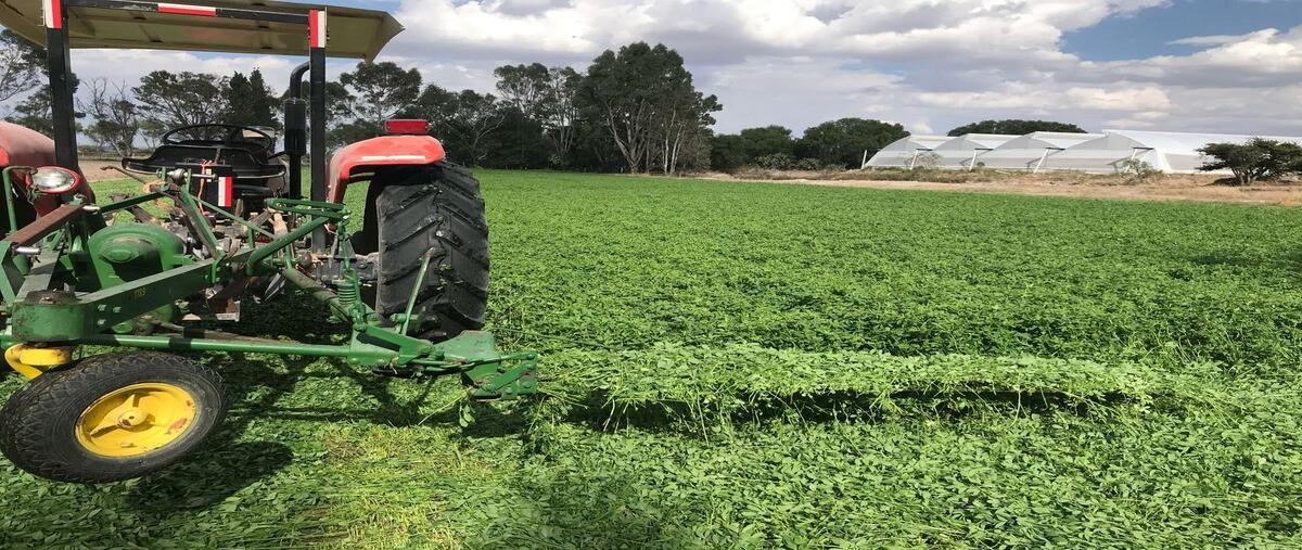 Foto de rancho en venta en zaragoza , ojuelos de jalisco, ojuelos de jalisco, jalisco, 0 No. 07