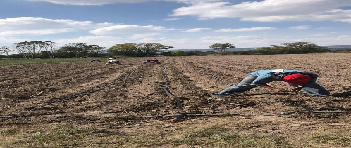 Foto de rancho en venta en zaragoza , ojuelos de jalisco, ojuelos de jalisco, jalisco, 0 No. 08