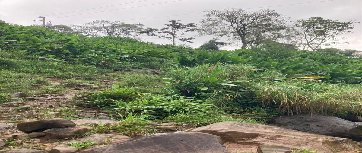 Foto de rancho en venta en zaragoza , pichucalco centro, pichucalco, chiapas, 24684318 No. 04