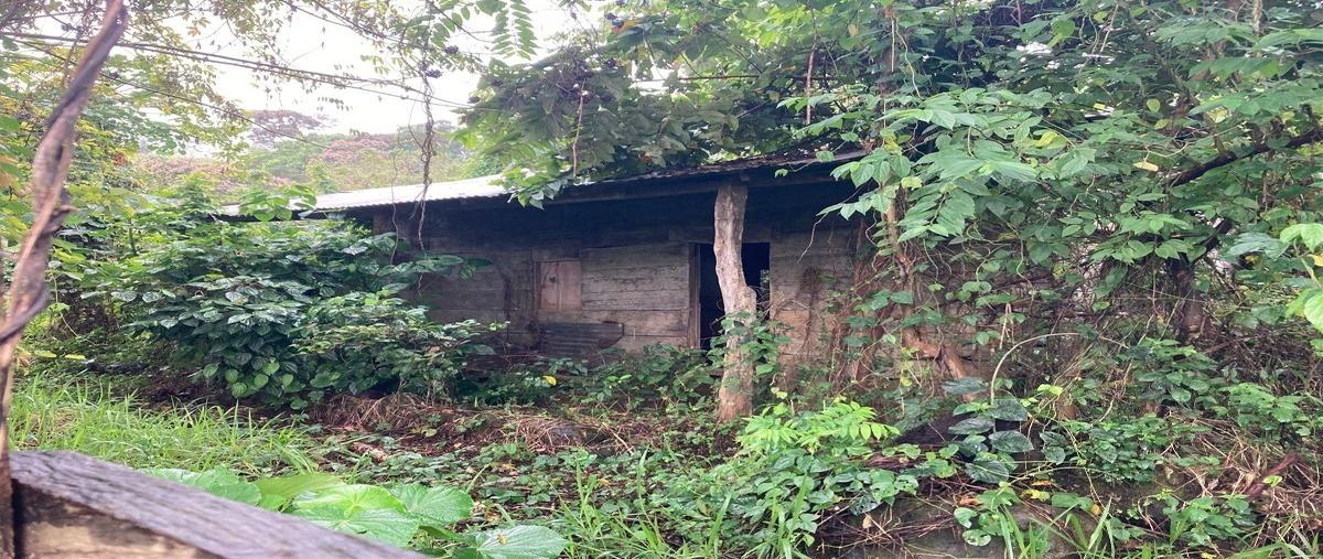 Foto de rancho en venta en zaragoza , pichucalco centro, pichucalco, chiapas, 24684318 No. 05