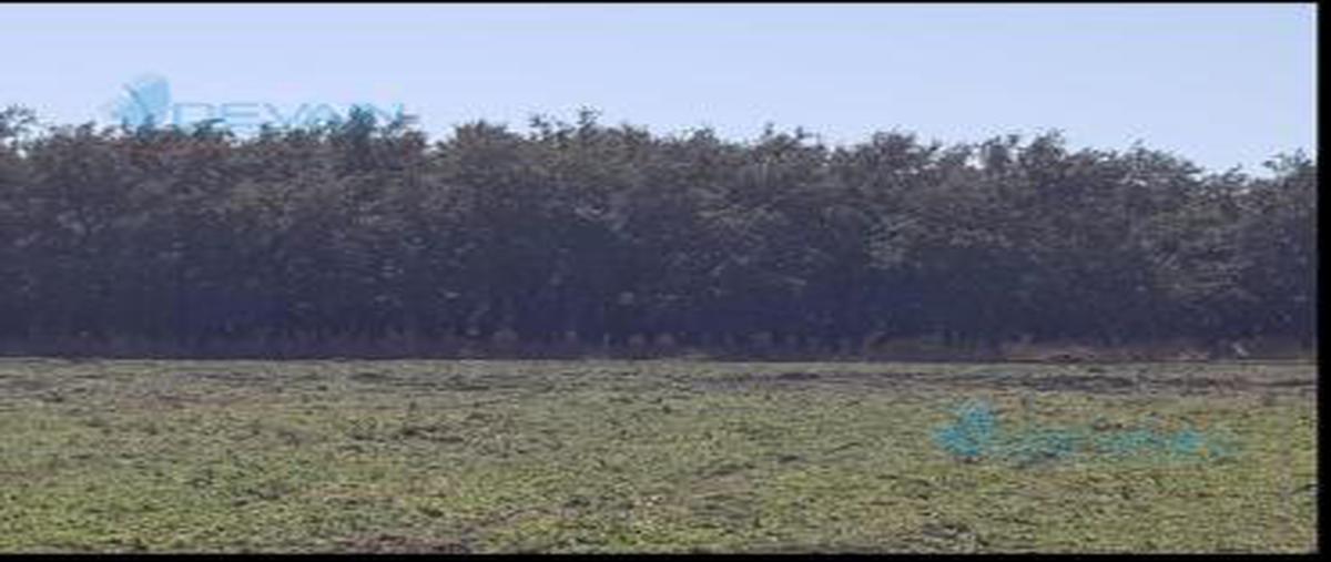 Foto de terreno habitacional en venta en  , zaragoza, piedras negras, coahuila de zaragoza, 0 No. 03