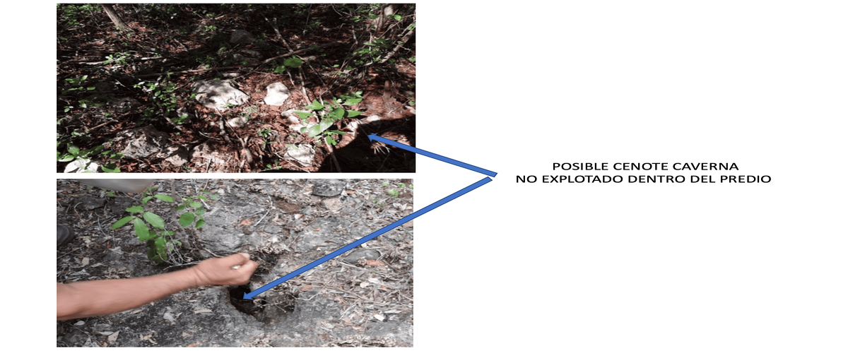 Foto de terreno habitacional en , zavala, sotuta, yucatán, 0 foto 04 Foto de terreno habitacional en venta en , zavala, sotuta, yucatán, 0 No. 04