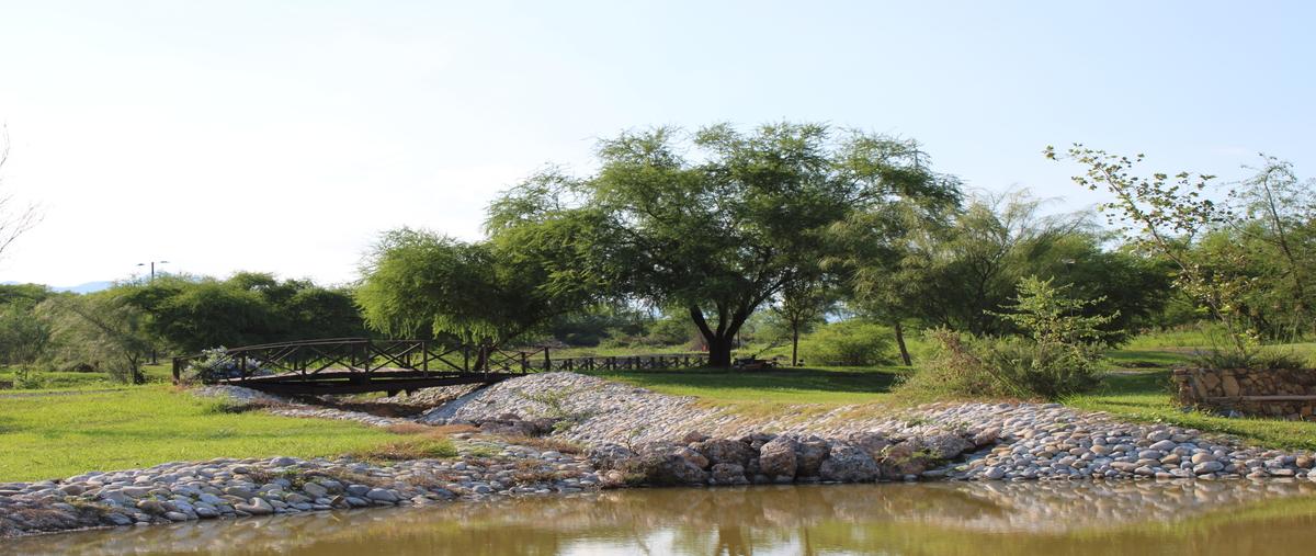 Foto de terreno habitacional en venta en zempola , campestre bosque real, montemorelos, nuevo león, 0 No. 03