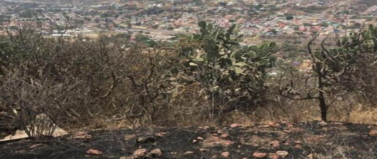 Foto de terreno habitacional en venta en  , zen house ii, el marqués, querétaro, 25979274 No. 03