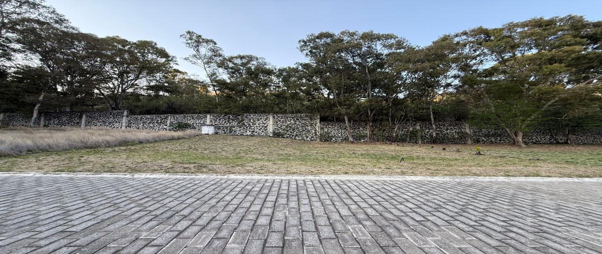 Foto de terreno habitacional en venta en  , zerezotla, san pedro cholula, puebla, 31117318 No. 03