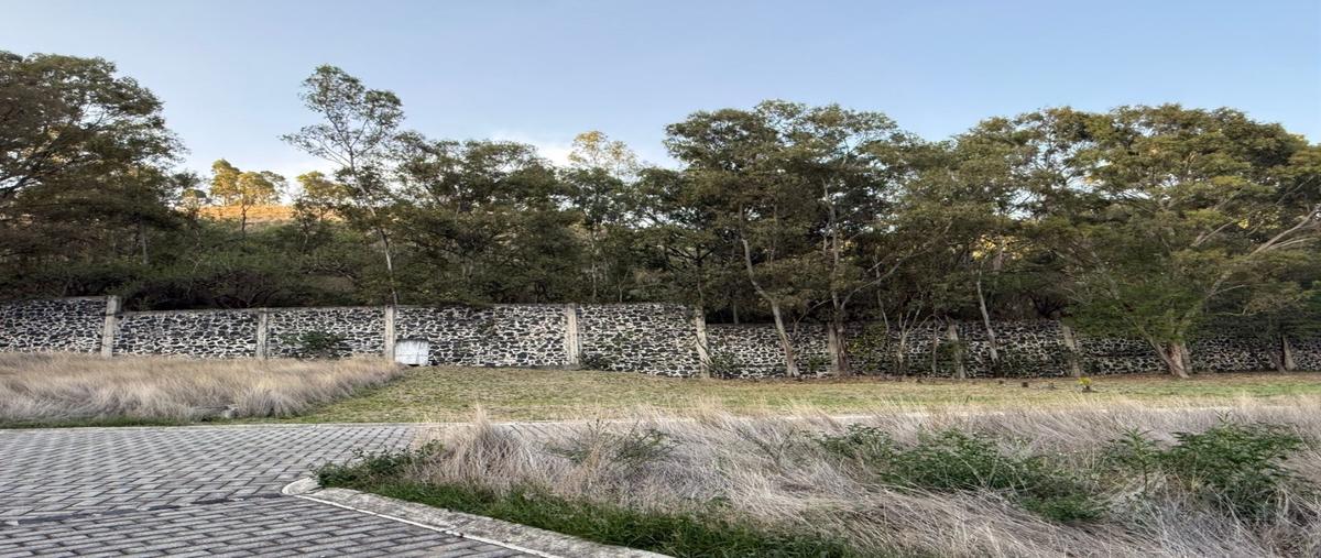 Foto de terreno habitacional en venta en  , zerezotla, san pedro cholula, puebla, 31117318 No. 04