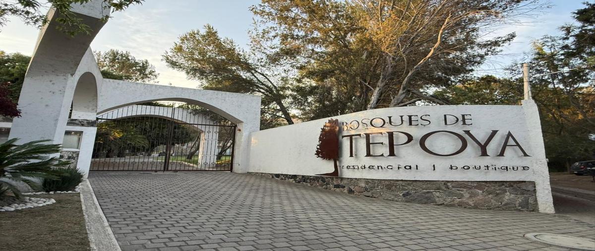 Foto de terreno habitacional en venta en  , zerezotla, san pedro cholula, puebla, 31117318 No. 05
